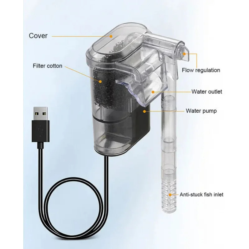 view